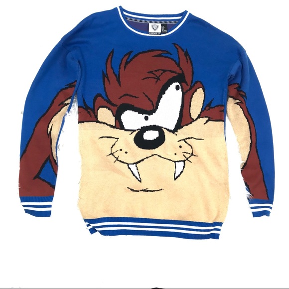 Warner Bros / Forever 21 Other - 🌵 Warner Bros Small Taz Tasmanian Devil Sweater